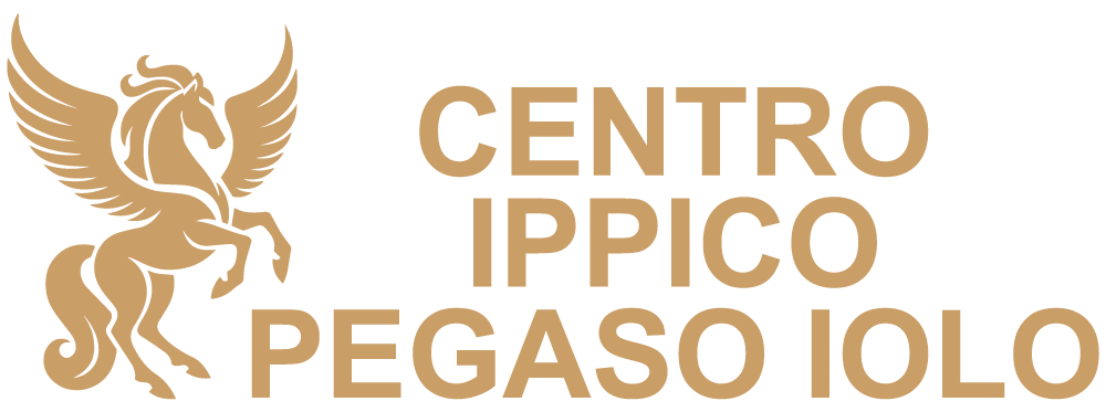 Logo-Pegaso-orizzontale